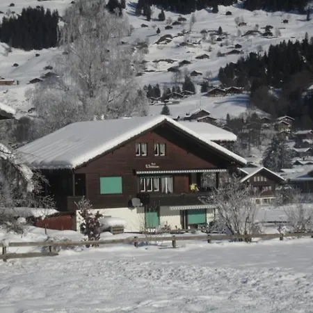 Fankhauser Appartamento Lenk