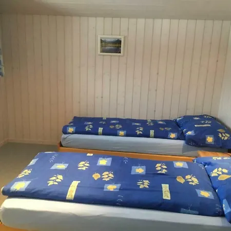 Fankhauser Appartamento Lenk